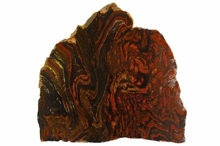 Polished Tiger Iron Stromatolite Slab - Billion Years #161890